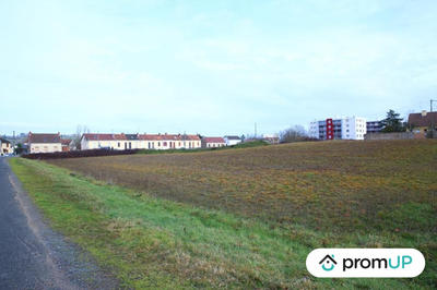 Terrain - 11 990 m²