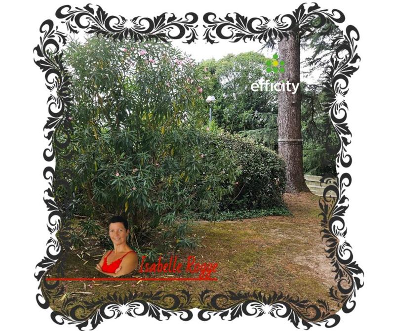 Appartement - 82 m² - 3 pièces