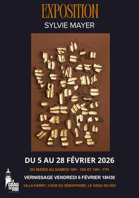 Exposition de la plasticienne Sylvie Mayer