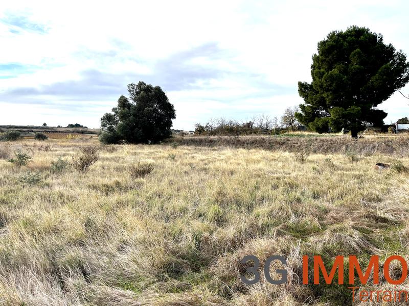 Terrain agricole - 10 081 m²