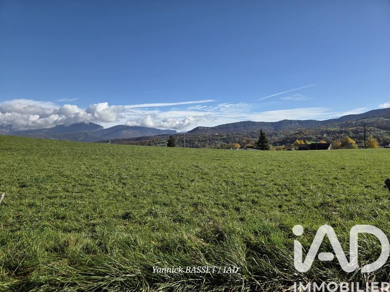 Appartement - 147 m² - 4 pièces