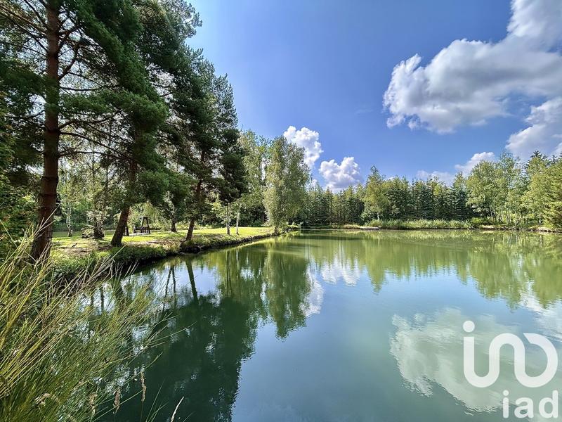 Terrain - 10 393 m²