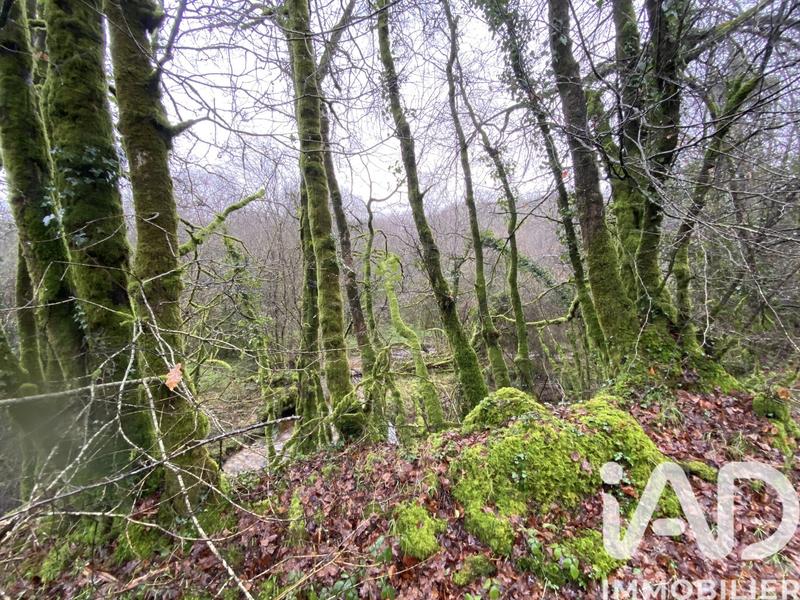 Terrain - 34 801 m²