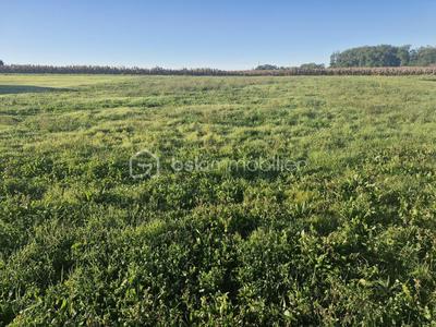 Terrain industriel - 1 664 m²