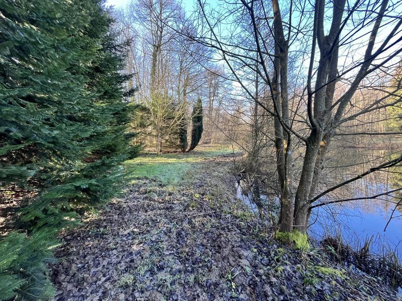 Terrain - 10 000 m²