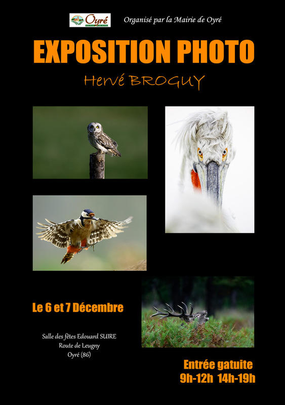 Exposition Photo d'Hervé Broguy