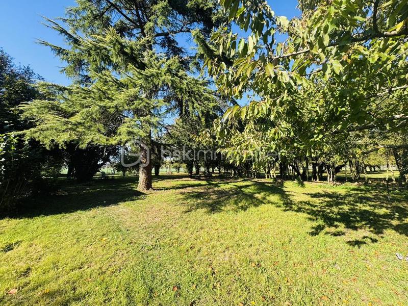 Maison ancienne - 170 m² - 9 pièces