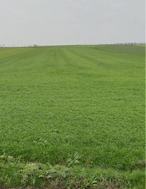 Terrain constructible - 103 753 m²