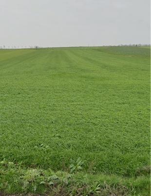 Terrain constructible - 103 753 m²