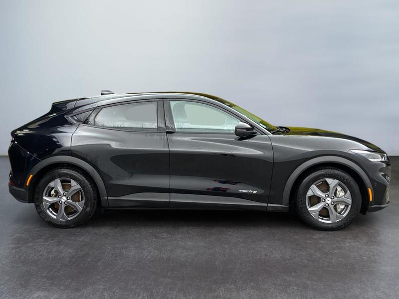 Ford Mustang Mach-E Standard Range 76 kWh 269 ch