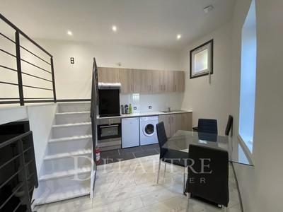 Loft - 31 m² - 1 pièce