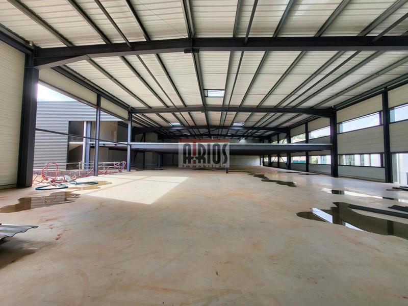 Entrepôt - 1 170 m²