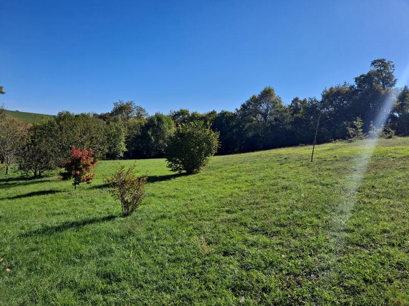 Maison - 175 m² - 6 pièces