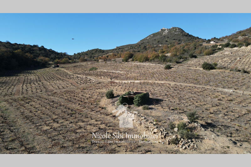 Terrain agricole - 8 700 m²