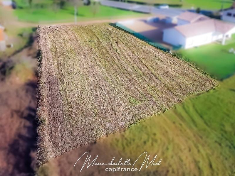 Terrain constructible - 1 513 m²