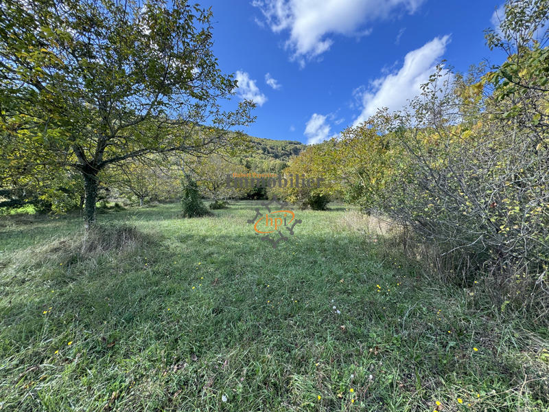 Terrain - 8 258 m²