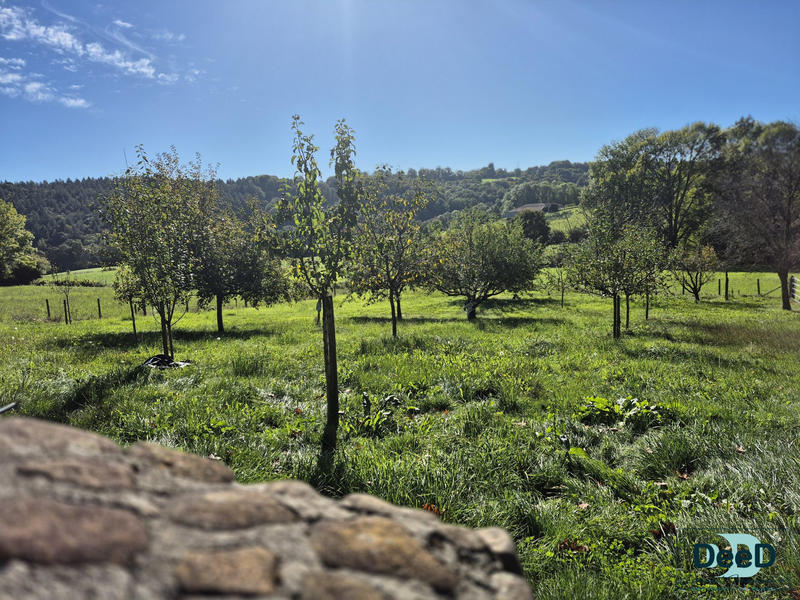 Maison - 230 m² - 5 pièces