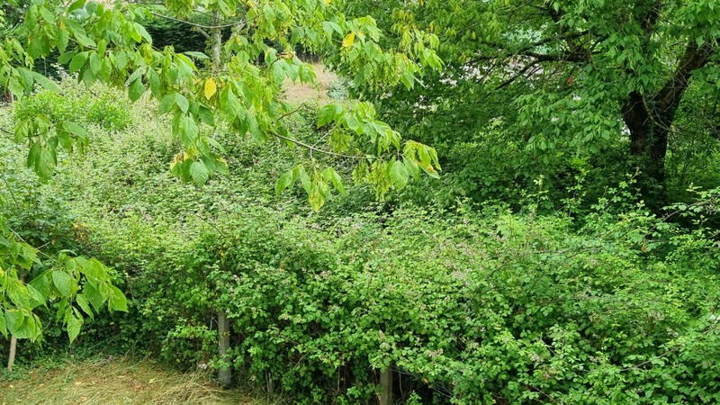 Maison - 74 m² - 4 pièces