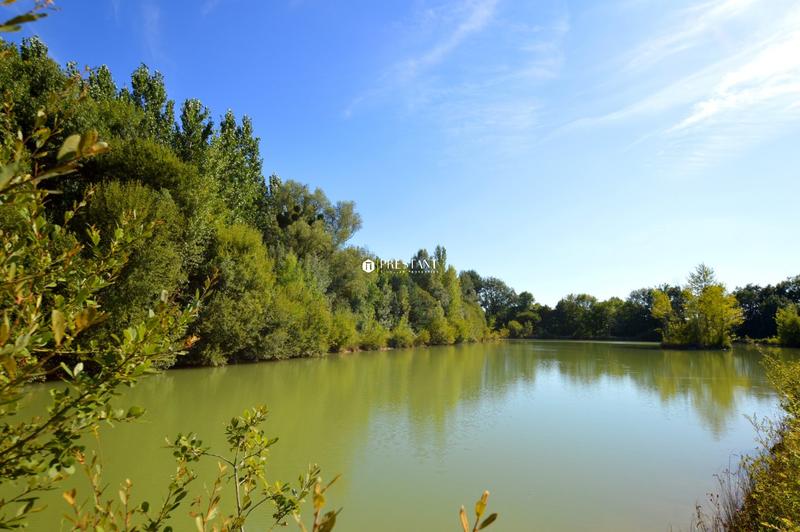 Propriété viticole - 390 m² - 9 pièces