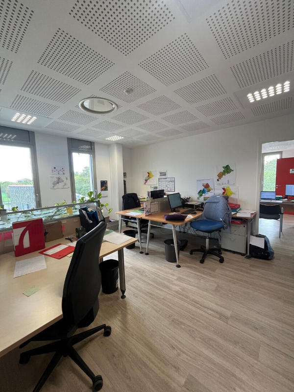 Bureau - 97 m² - 5 pièces