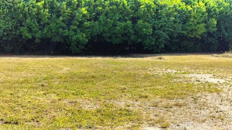 Terrain - 625 m²