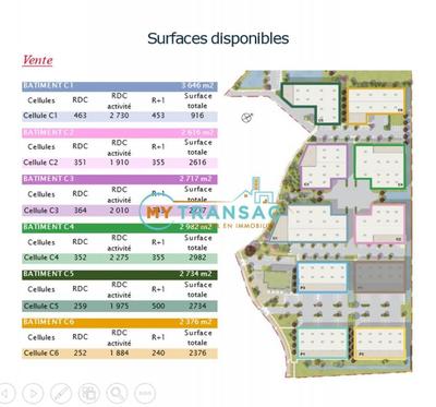 Local d'activité / Entrepôt - 493 m²