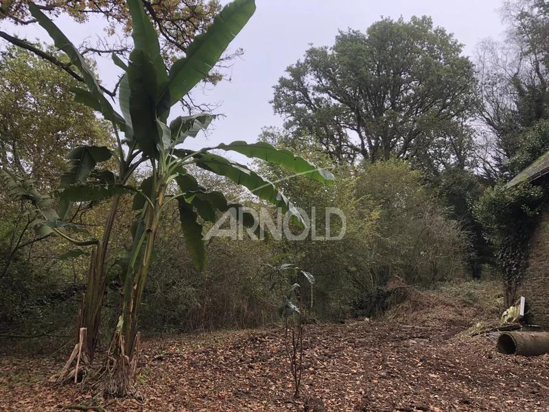 Moulin - 250 m² - 5 pièces