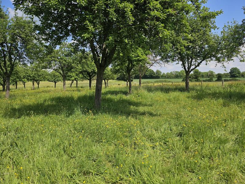 Maison traditionnelle - 176 m² - 7 pièces