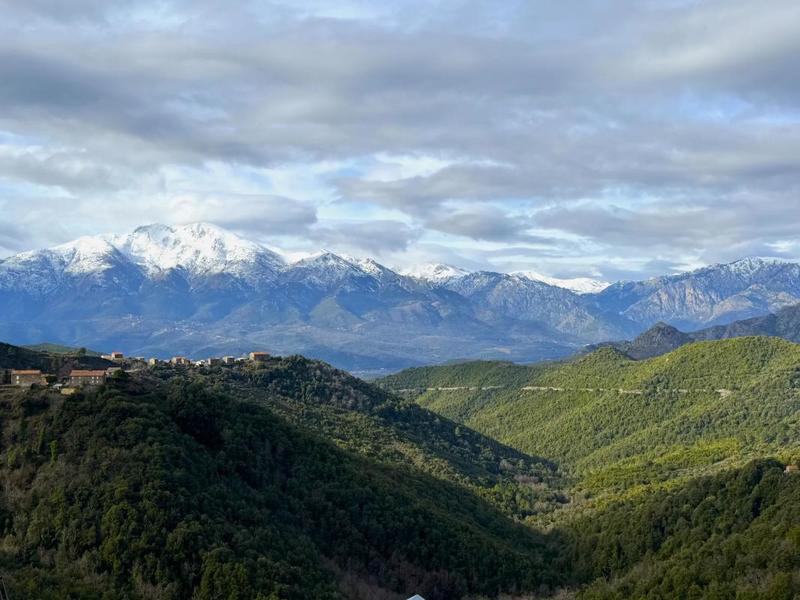 Appartement - 202 m² - 8 pièces