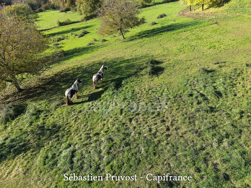 Propriété - 315 m² - 12 pièces