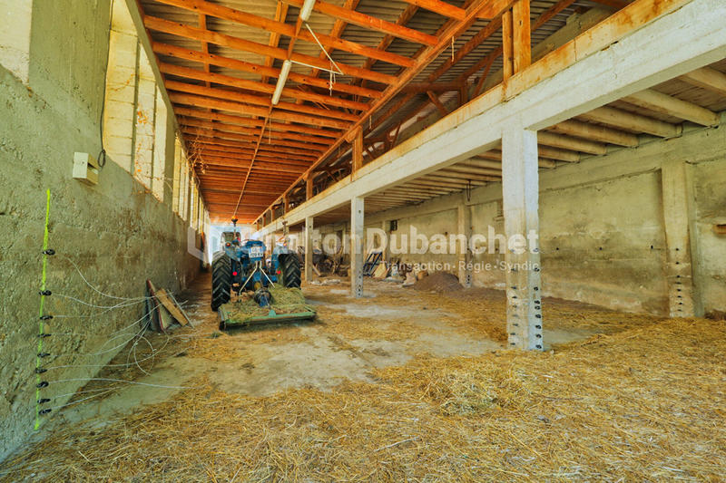 Maison - 500 m² - 12 pièces