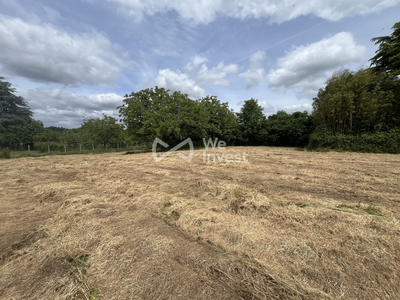 Terrain - 1 243 m²
