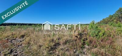Terrain - 15 553 m²
