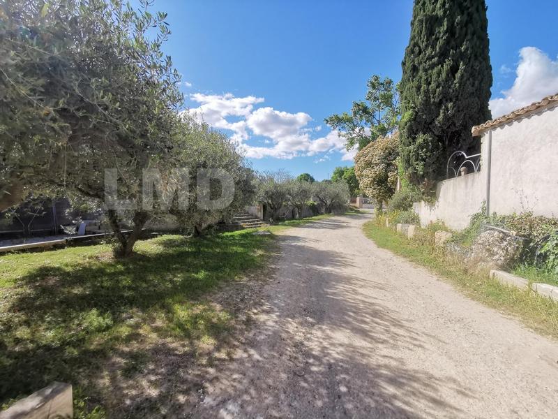 Local d'activités - 875 m²