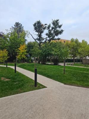 Studio - 19 m² - 1 pièce