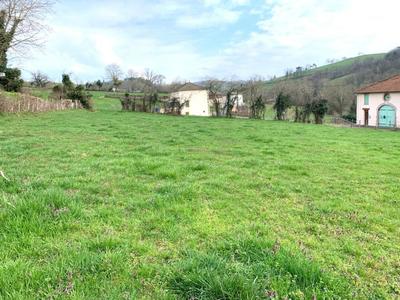 Terrain - 1 590 m²