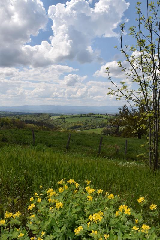 Terrain constructible - 516 m²