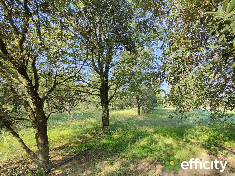 Maison - 240 m² - 5 pièces