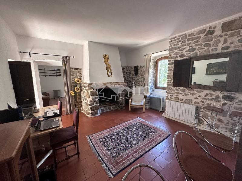 Maison en pierre - 279 m² - 10 pièces