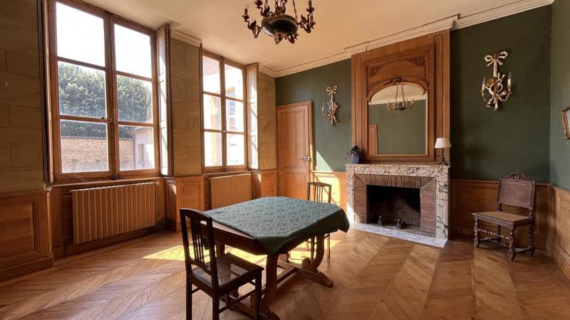 Hôtel particulier - 390 m² - 10 pièces