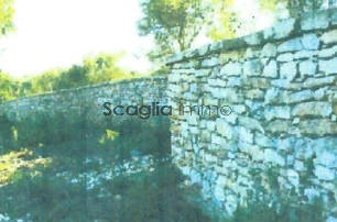 Terrain - 23 600 m²