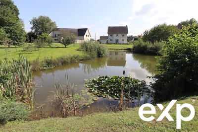 Viager - Maison - 160 m² - 5 pièces