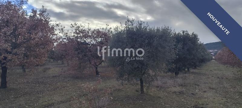 Terrain agricole - 45 000 m²