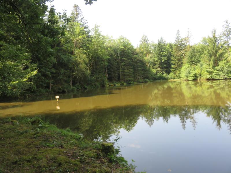 Terrain de loisirs - 4 560 m²