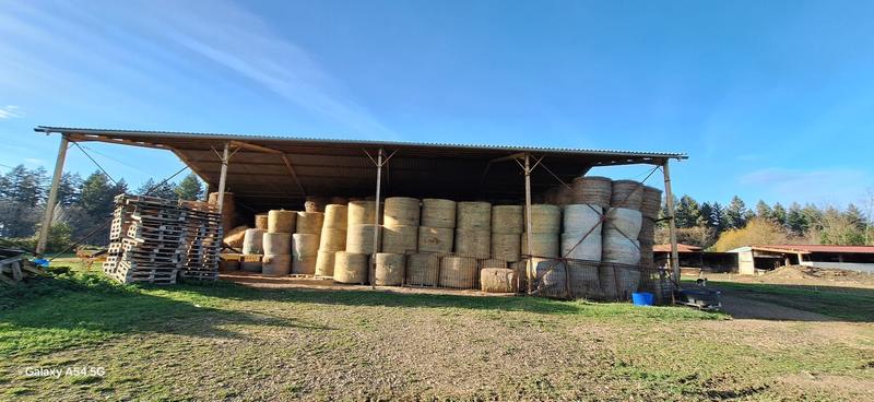 Maison - 115 m² - 4 pièces