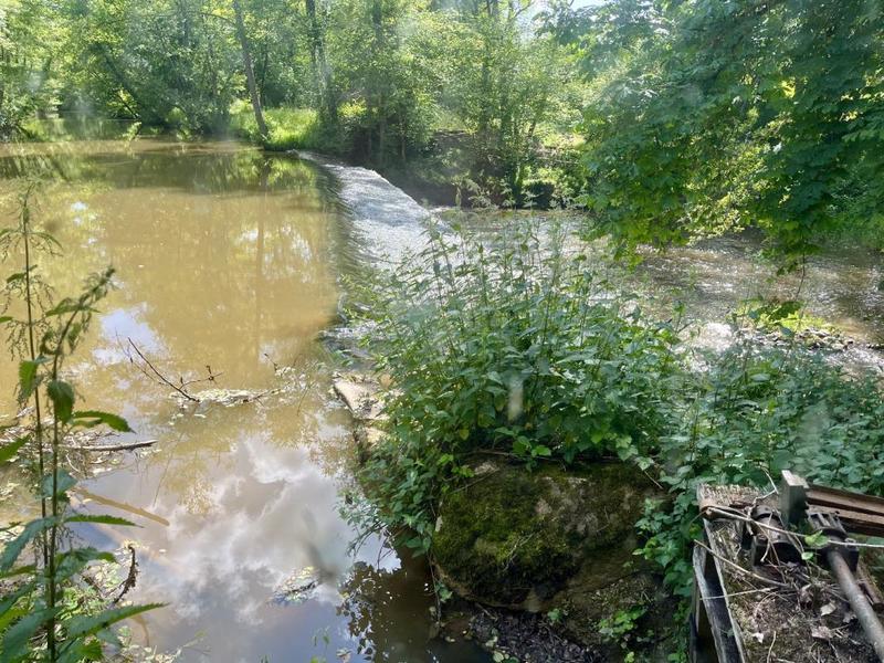 Moulin - 261 m² - 7 pièces