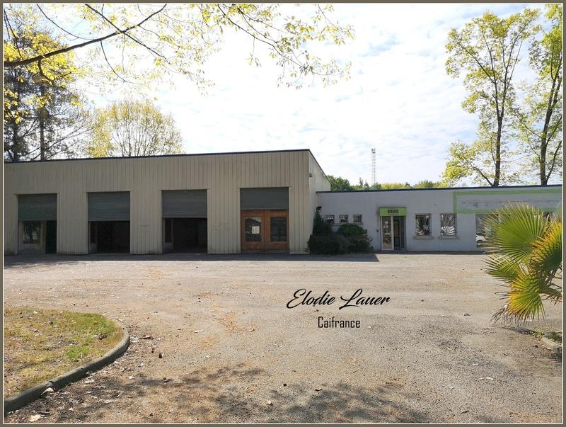 Bureau - 569 m² - 8 pièces