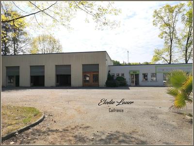 Bureau - 569 m² - 8 pièces