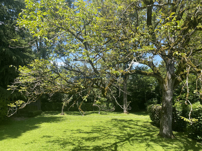 Maison - 320 m² - 8 pièces