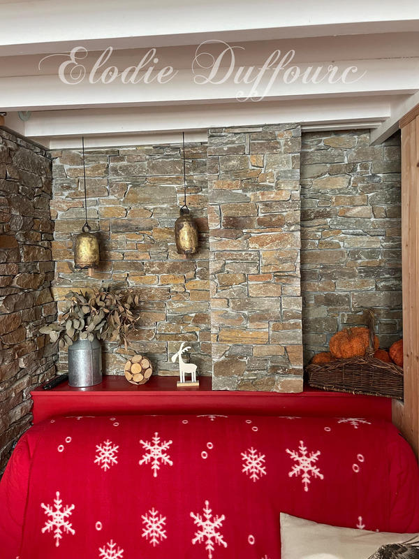 Studio - 20 m² - 1 pièce